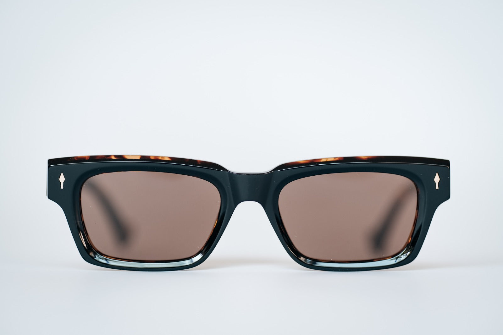 CURIOUS - Tortoise Shell
