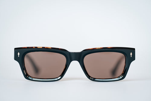 CURIOUS - Tortoise Shell